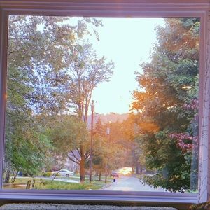 Meet your Posher, Cynthia